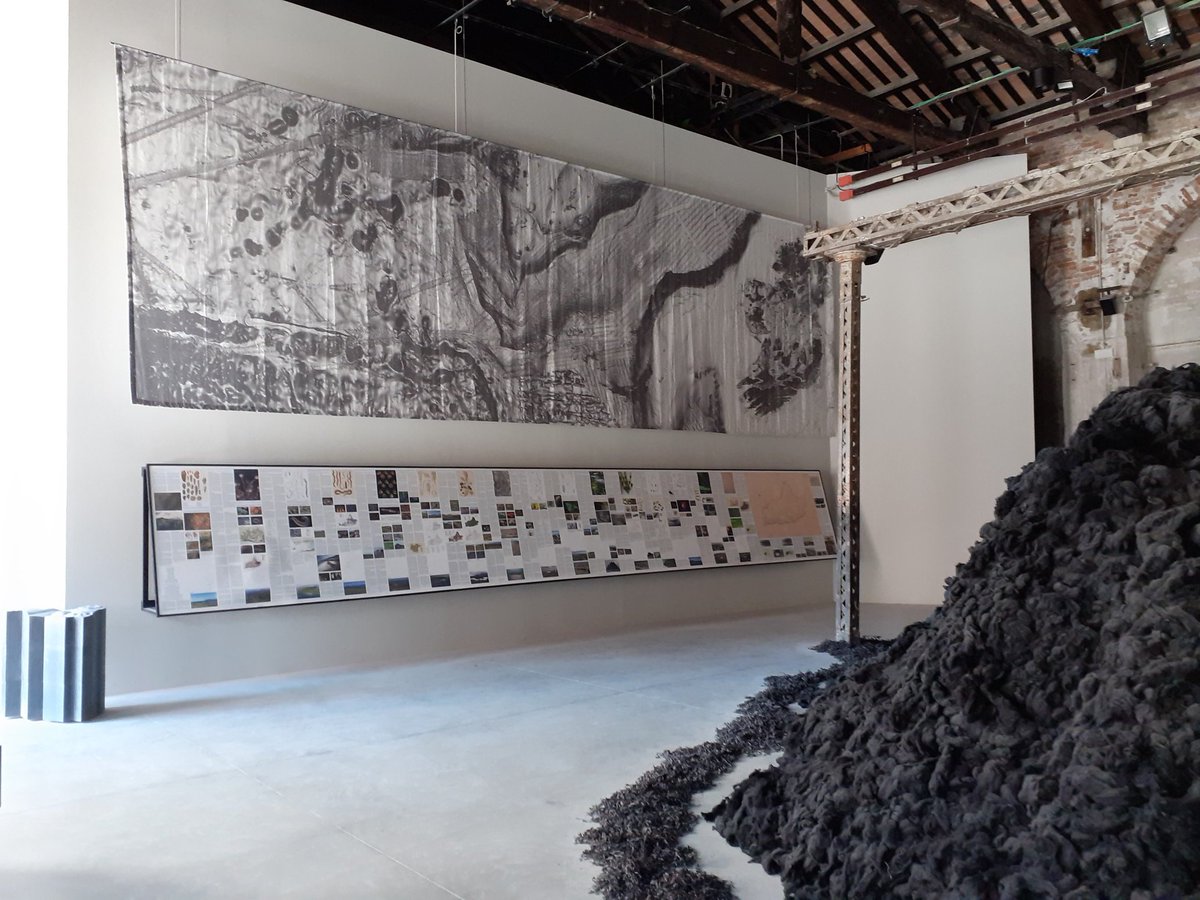 tosullivan06's tweet photo. Delighted to see R. L Praeger &amp; the #ClareIslandSurvey appear at the #VeniceArcitectureBiennale as part of the fantastic Irish exhibit #lnSearchofHyBrasil! https://t.co/x2x6x6sL12