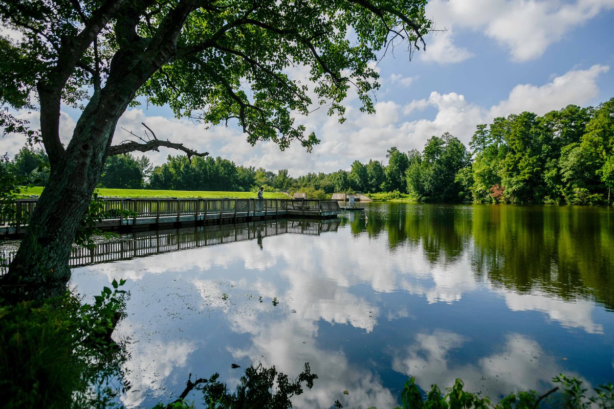 NC State is developing a community-led plan to support programming, research and well-being at Lake Raleigh. Learn more and take the survey at: centennial.ncsu.edu/thrive/lake-ra…