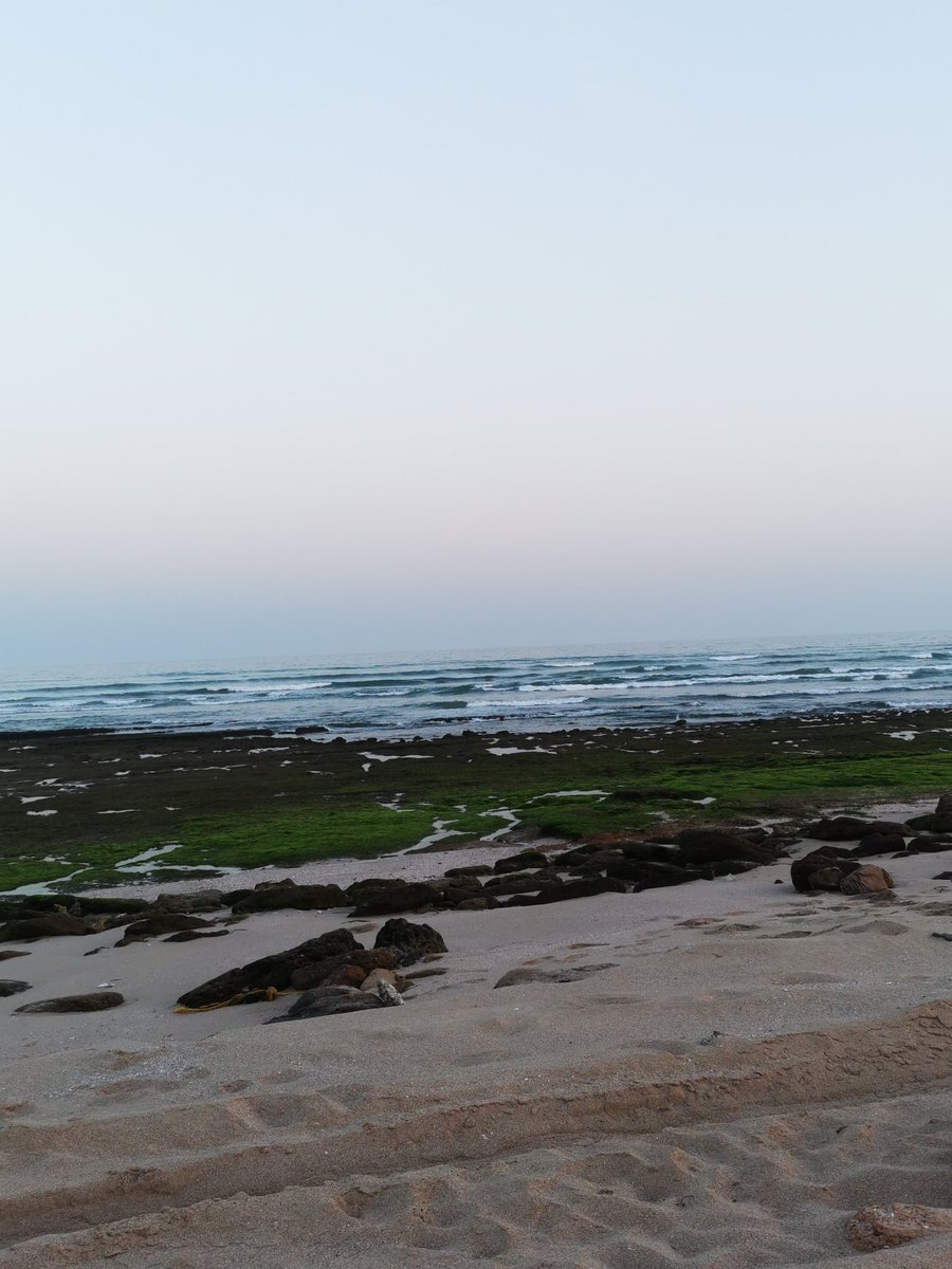 استمتع بشاطي بحر عمان الجميل
 نوع من الاسترخاء والهدوء  منظر جميل وقت الغروب يشعر الإنسان بالبهجه والسعادة عند رؤية البحر لوحه فنيه مذهله لكنها أجمل من توصف باللوحات الفنيه لأنها من صنع
الخالق سبحانه على قدرته وابدع 🌹