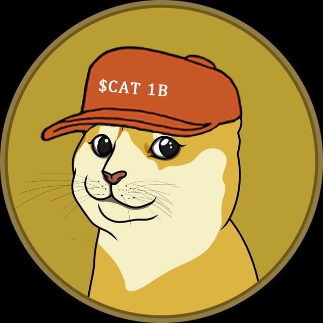 pepeXglobal's tweet photo. @Yourpop8 $CAT

X1000 Opportunity 
3 Major CEXs listed, ready to FLY
4th CEX coming
Caté beats Dogé
Dont Miss
Cate exchange under construction 
@catecoinerc20 $CAT https://t.co/soI1xLcXJA