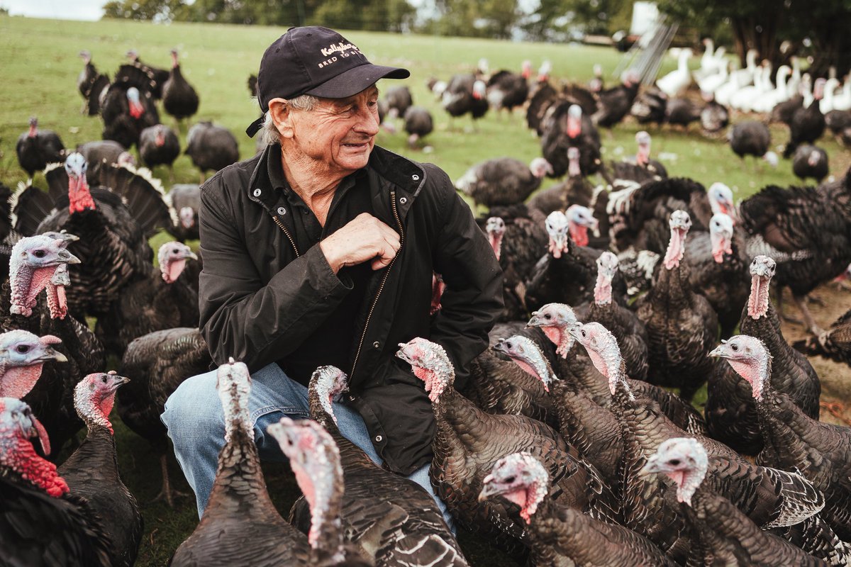 Kent Turkeys tweet media