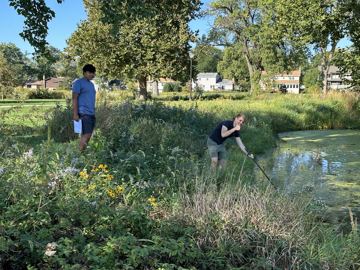 WNScience's tweet image. AP Environmental Science took a walking field trip to Northside Pond to take a sample of aquatic life for a water quality index.