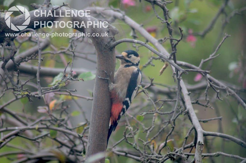 Chris Slow (@speedie_chris) on Twitter photo 