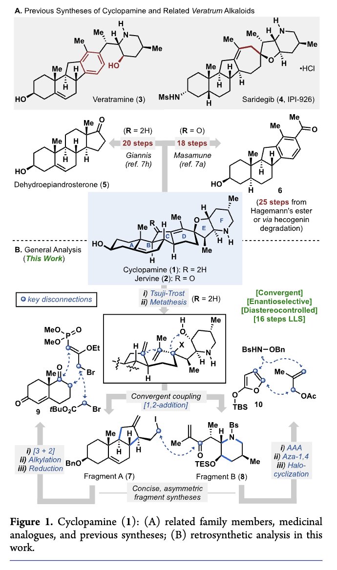 Total Synthesis tweet media