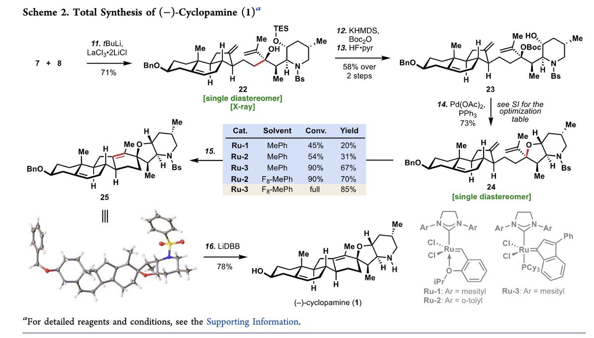 Total Synthesis tweet media