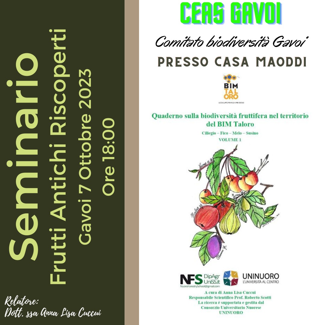 AnnaLisaCuccui's tweet photo. Riscoprire la biodiversità fruttifera ha un valore non solo affettivo, ma anche scientifico e culturale... #annalisacuccui #etnobotanica #biodiversità #ecologia https://t.co/WDnSO98hvM