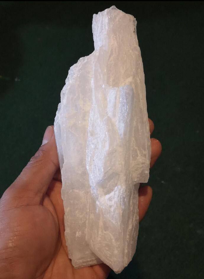 t.me/psychedelicsto…