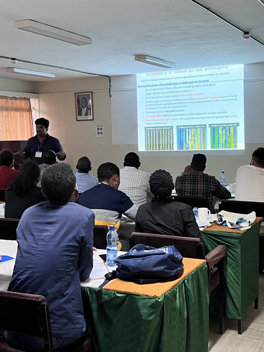 Maricelis Acevedo (@maricelisaceve1) on Twitter photo Another insightful wheat breeding and rust pathology workshop day in Kenya. <a href="/SridharBhavani/">Sridhar Bhavani -Wheat breeding and rusts <a href="/CIMMYT/">CIMMYT</a></a> <a href="/globalrust/">Borlaug Global Rust Initiative</a> @CIMMYT Another insightful wheat breeding and rust pathology workshop day in Kenya. <a href="/SridharBhavani/">Sridhar Bhavani -Wheat breeding and rusts <a href="/CIMMYT/">CIMMYT</a></a> <a href="/globalrust/">Borlaug Global Rust Initiative</a> @CIMMYT