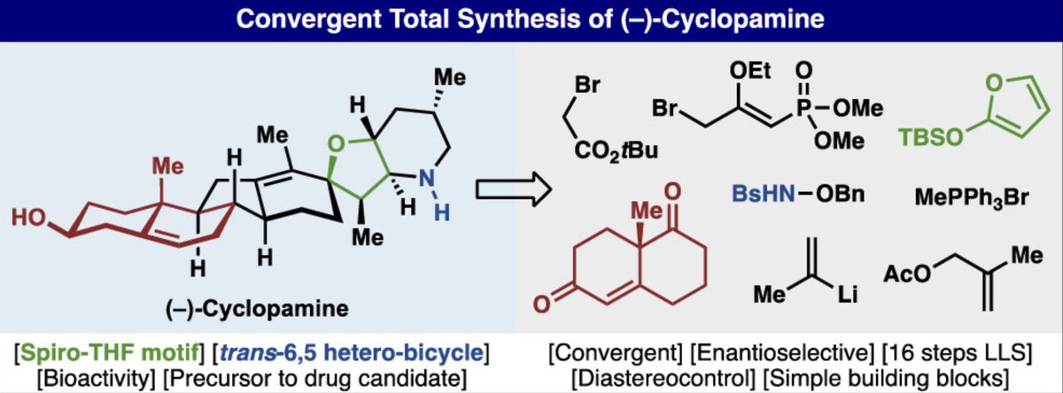 Total Synthesis tweet media