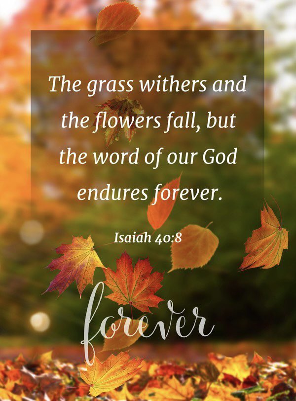 Messiah Temple MBC tweet media