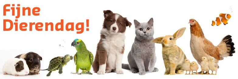 DutchBeginners's tweet photo. Het is dierendag vandaag! Wat is jouw favoriete dier?

It is the day of the animal today. What is your favourite animal? (in Dutch of course 😉 )

#learndutch #dutch #dutchlanguagecourses #nederlandsetaal #dutchexpats #dayoftheanimal #learningdutch #nederlandsleren #dutchculture https://t.co/QEKoh8qrMg