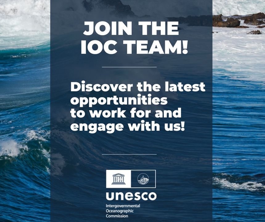 🤔 Are you interested in bringing your experience and expertise to advance #ocean #science for sustainable ocean management? 🤚Join our team! Discover current engagement and job opportunities 👉ow.ly/qzG050PSSl9