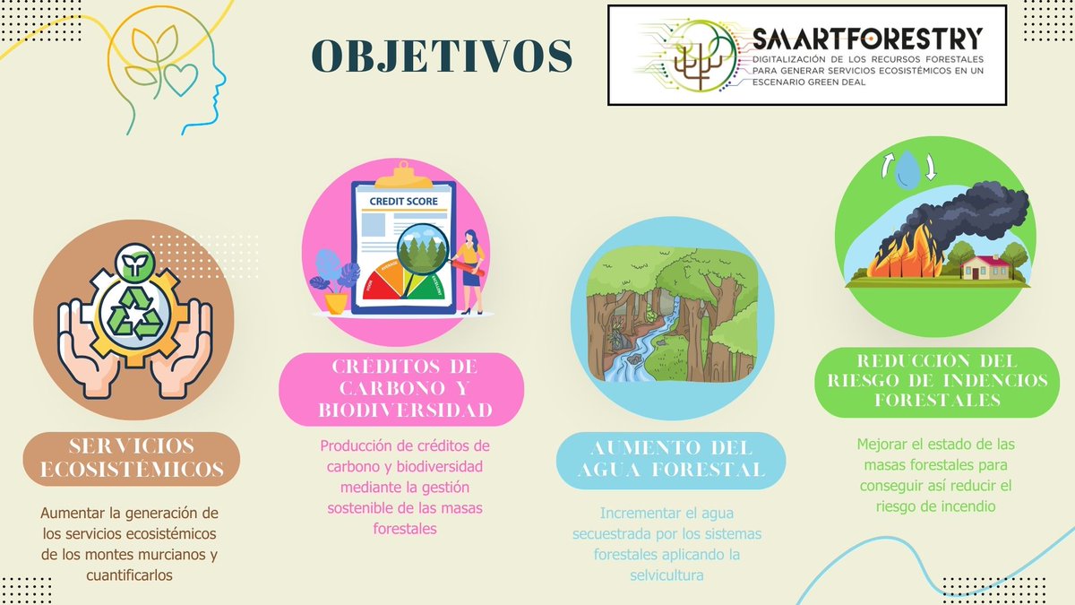 Los sistemas forestales murcianos centran la atención del GO #SmartForestry. La generación de productos para la economía: biomasa, secuestro de carbono, gestión del agua forestal o reducción del riesgo de incendios, son una prioridad para la gestión forestal pública y privada.