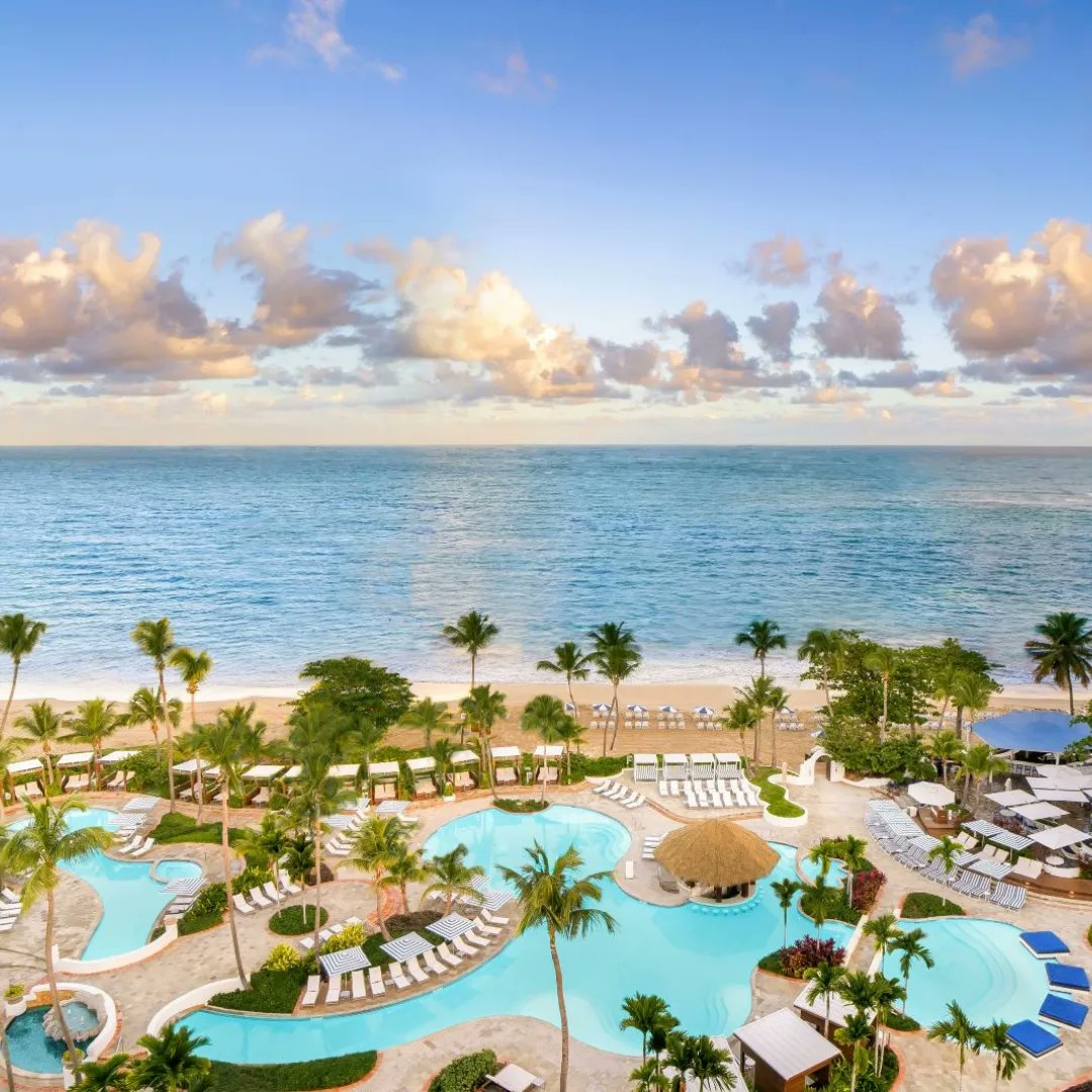 lrtfoundation's tweet photo. Our featured trip in our silent auction on Oct 18 at Vampire Circus at Vic Juba Community Theatre is Wonderments of Puerto Rico for 2. It includes 4-night stay in a standard Room at Fairmont El San Juan, El Yunque Rainforest off the beaten path tour, &amp; Bioluminescence Kayaking. https://t.co/TP7R5H6ZWF