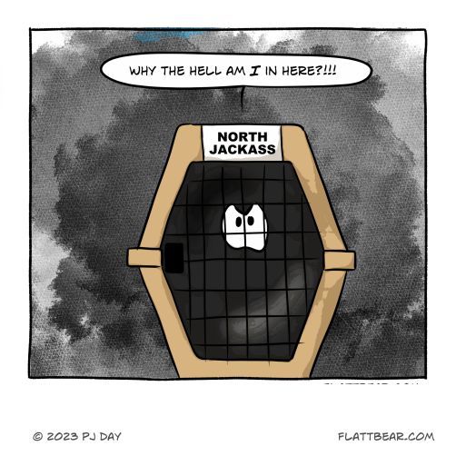 Close to It #flattbear #comics #comicstrip #firstclass