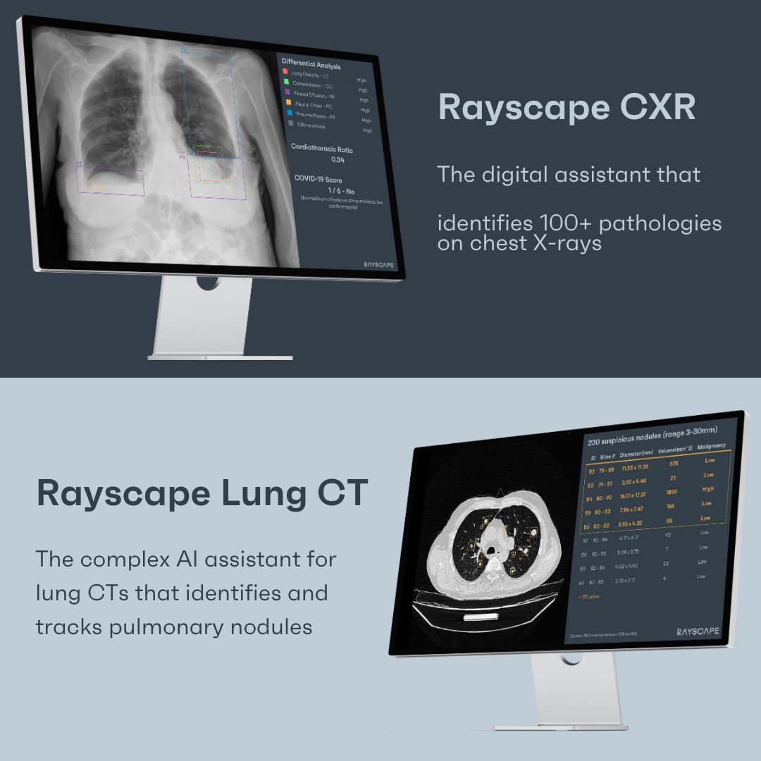 Rayscape tweet media