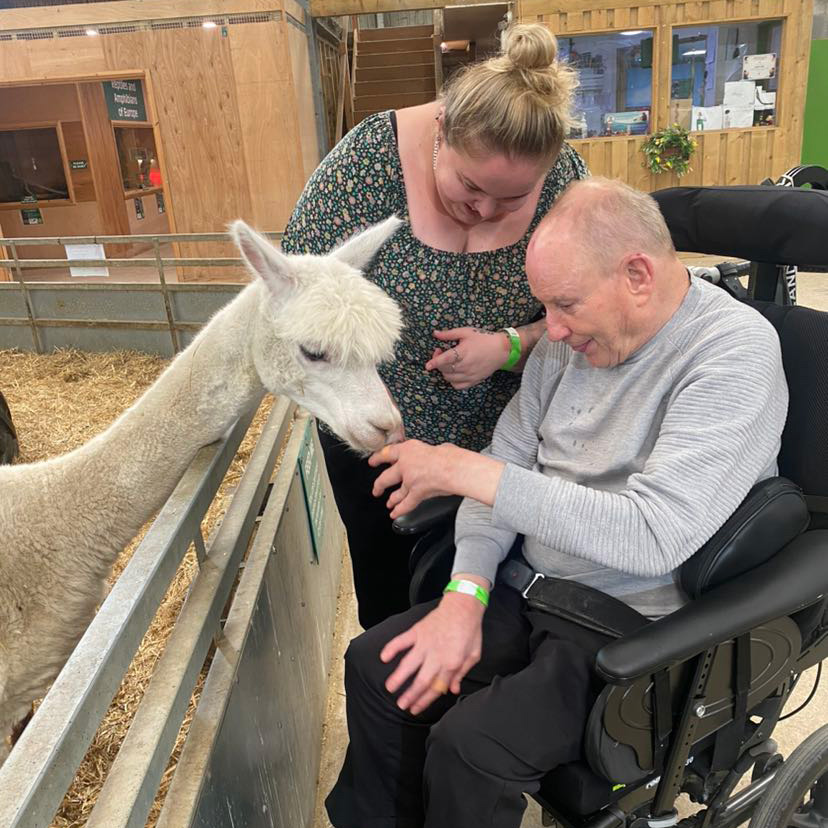 MilestonesTrust's tweet image. Gerald recently had a fantastic day out at @PuxtonPark in North Somerset where he enjoyed feeding a beautiful alpaca. He also had a lot of fun experiencing an accessible trampoline, which is designed for wheelchair users.

#SocialCare #Alpacas #SupportWork #DayTrips #Somerset