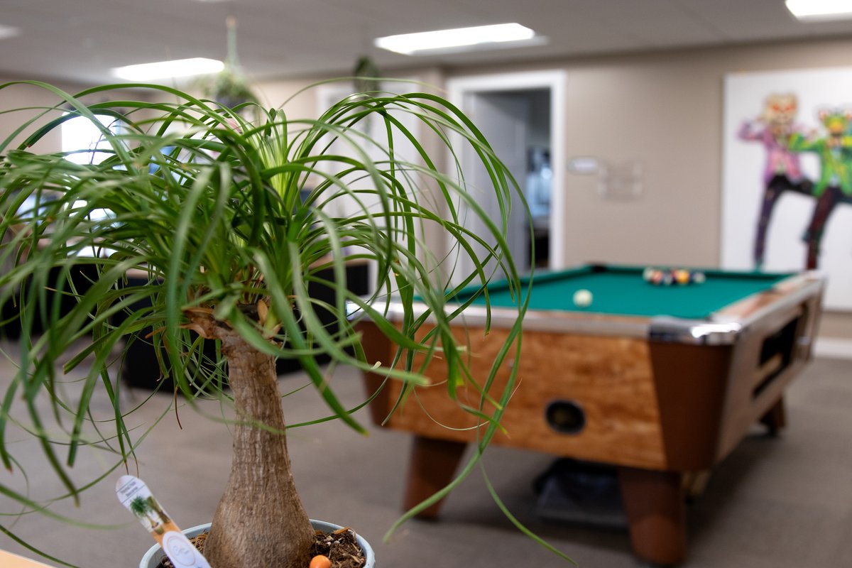 ImpactCreates's tweet photo. October 4 is Improve Your Office Day! We love creating an inviting and creative environment here at Impact Marketing. From decorating the walls to having a plant corner, our space makes our creativity flow! 

#ImpactMarketing #MakingAnImpact #ImproveYourOffice https://t.co/cz0WegmdXm