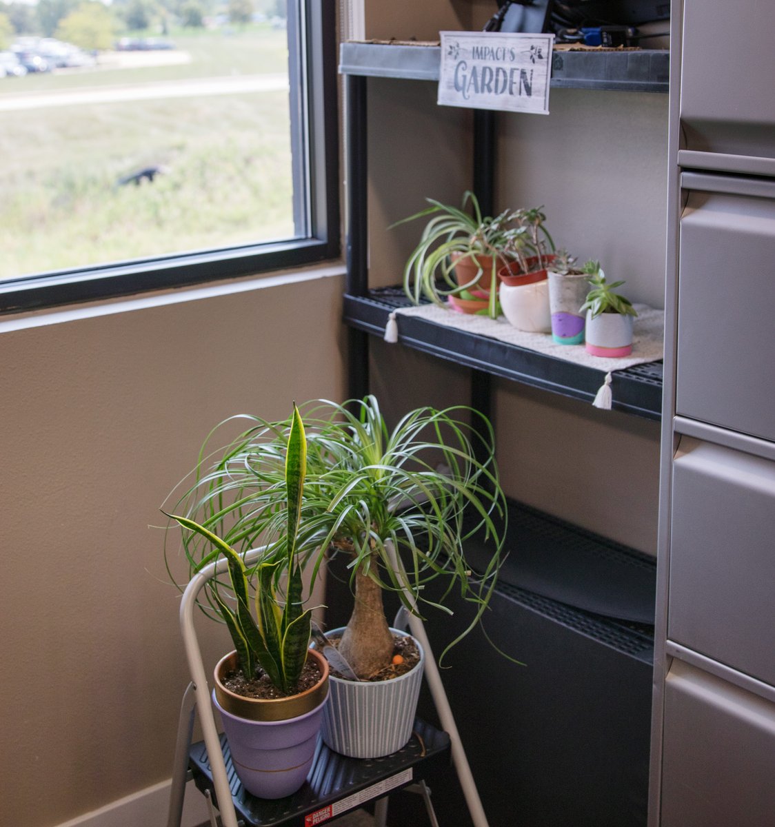 ImpactCreates's tweet photo. October 4 is Improve Your Office Day! We love creating an inviting and creative environment here at Impact Marketing. From decorating the walls to having a plant corner, our space makes our creativity flow! 

#ImpactMarketing #MakingAnImpact #ImproveYourOffice https://t.co/cz0WegmdXm