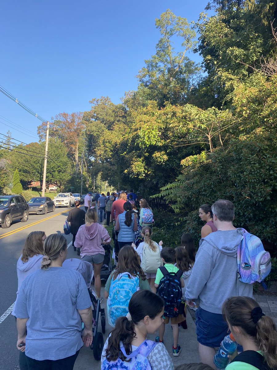 David Whitman tweet media