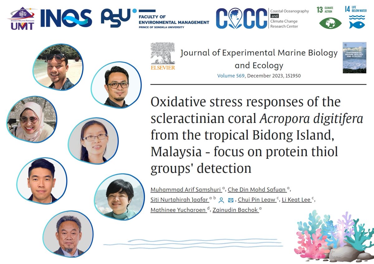 COCC_PSU's tweet photo. A publication from our internship student 'Arif Samshuri', a team from Universiti Malaysia Terengganu (UMT) and cocc researcher. Check the full paper here: https://t.co/8VgQfgX5o4
#COCC #PSU #UMT #CORAL #WARMING https://t.co/GdyH73TRW7