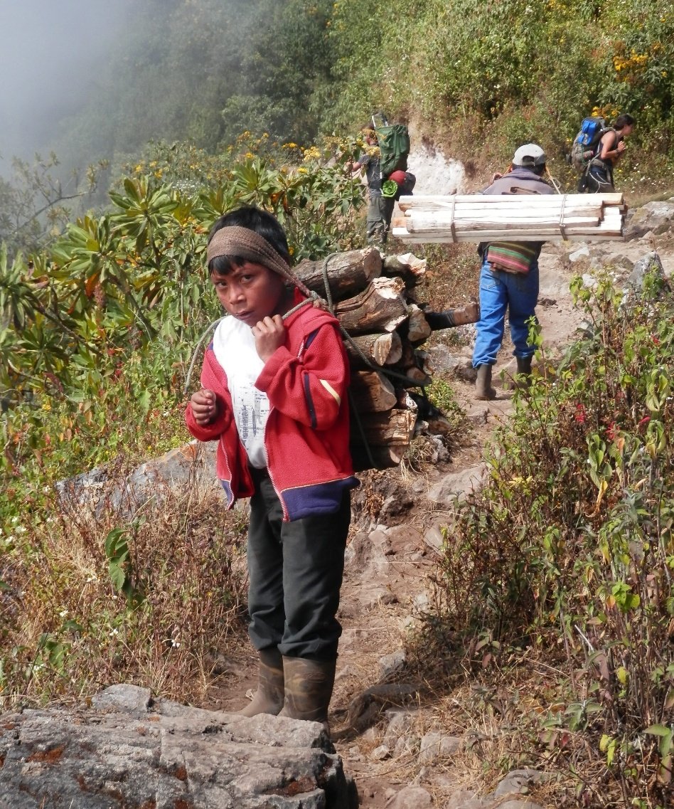 MMkiut's tweet photo. Gobierno de Guatemala impide la libre locomoción y acceso a  la salud, educación desde hace 70 años! https://t.co/E1T5rAuLzx
