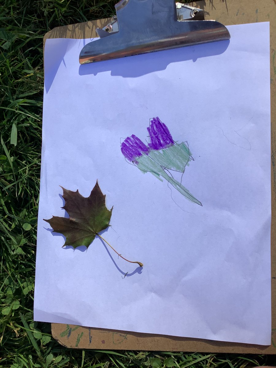 We took our science class outdoors - exploring seasonal changes.