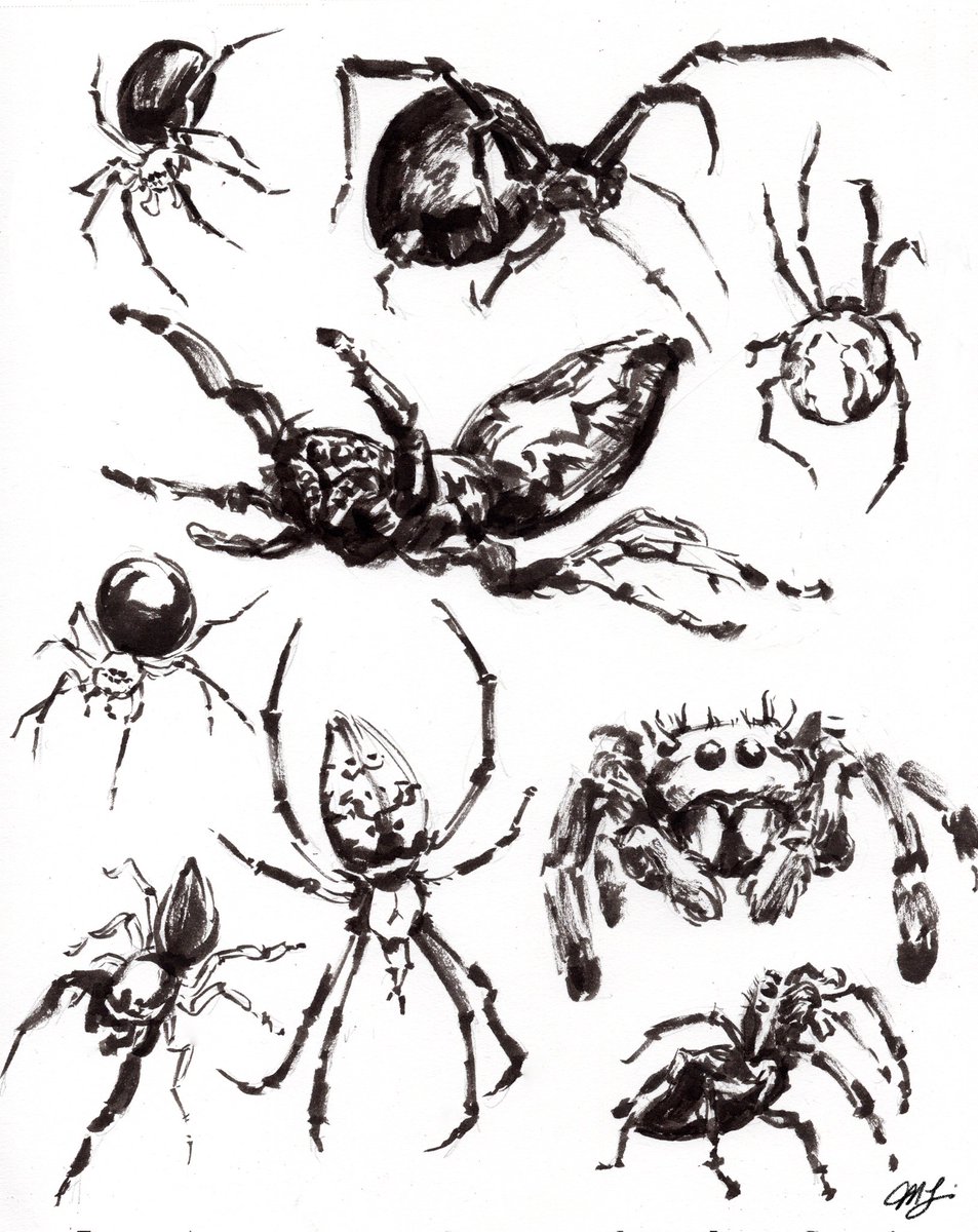 #inktober2023 #spider