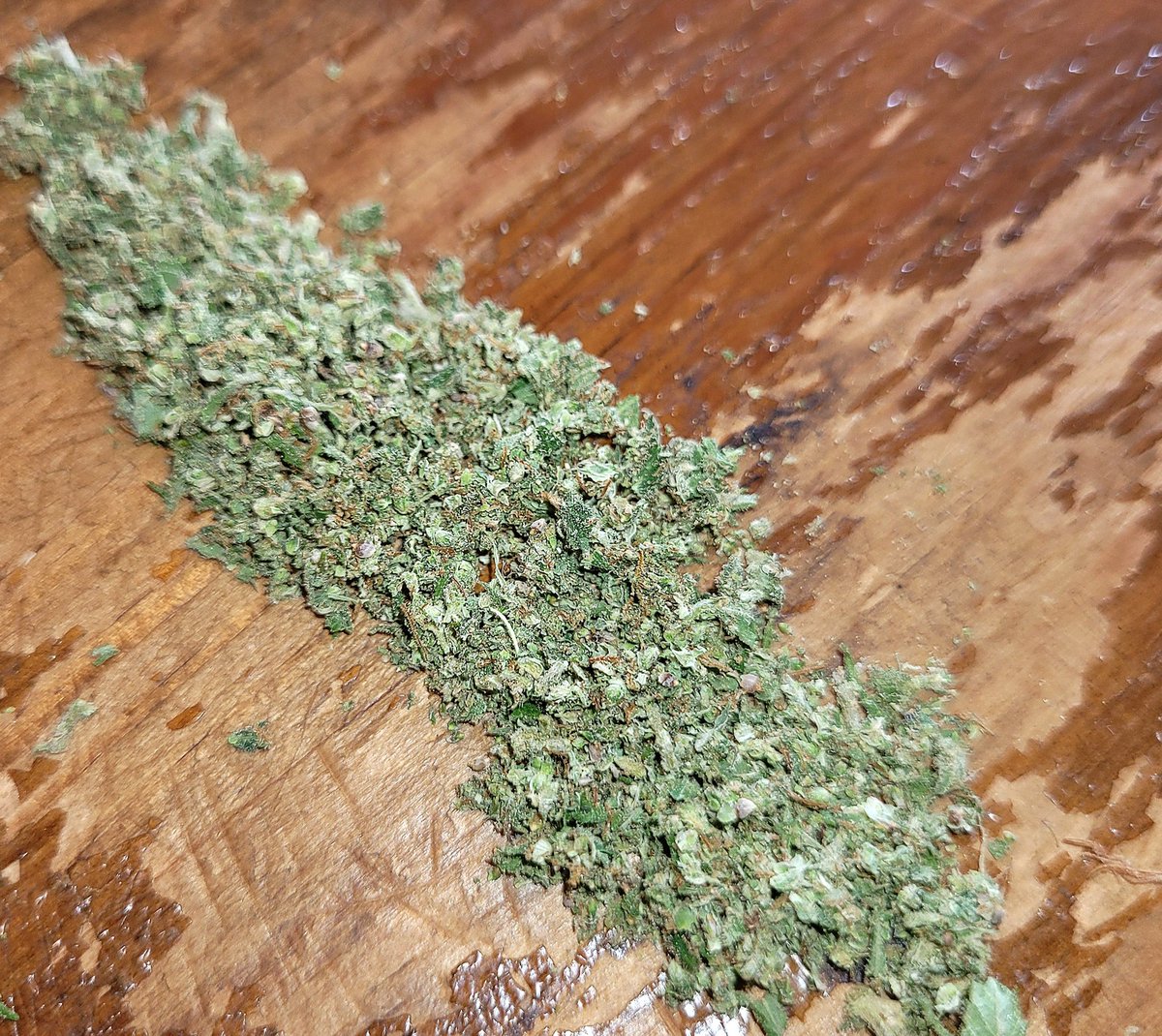 RaulSantos1981's tweet photo. Sobremesa con #HellfireOg 🔥!
@KannabiaSeeds
De las más altas del grupo superando los 2m y medio.
Muchas ramas laterales largas y llenas de cogollos. Maceta de 30L. Sustrato #SublimeMix @ProXL_Int https://t.co/upqIFNbkkU