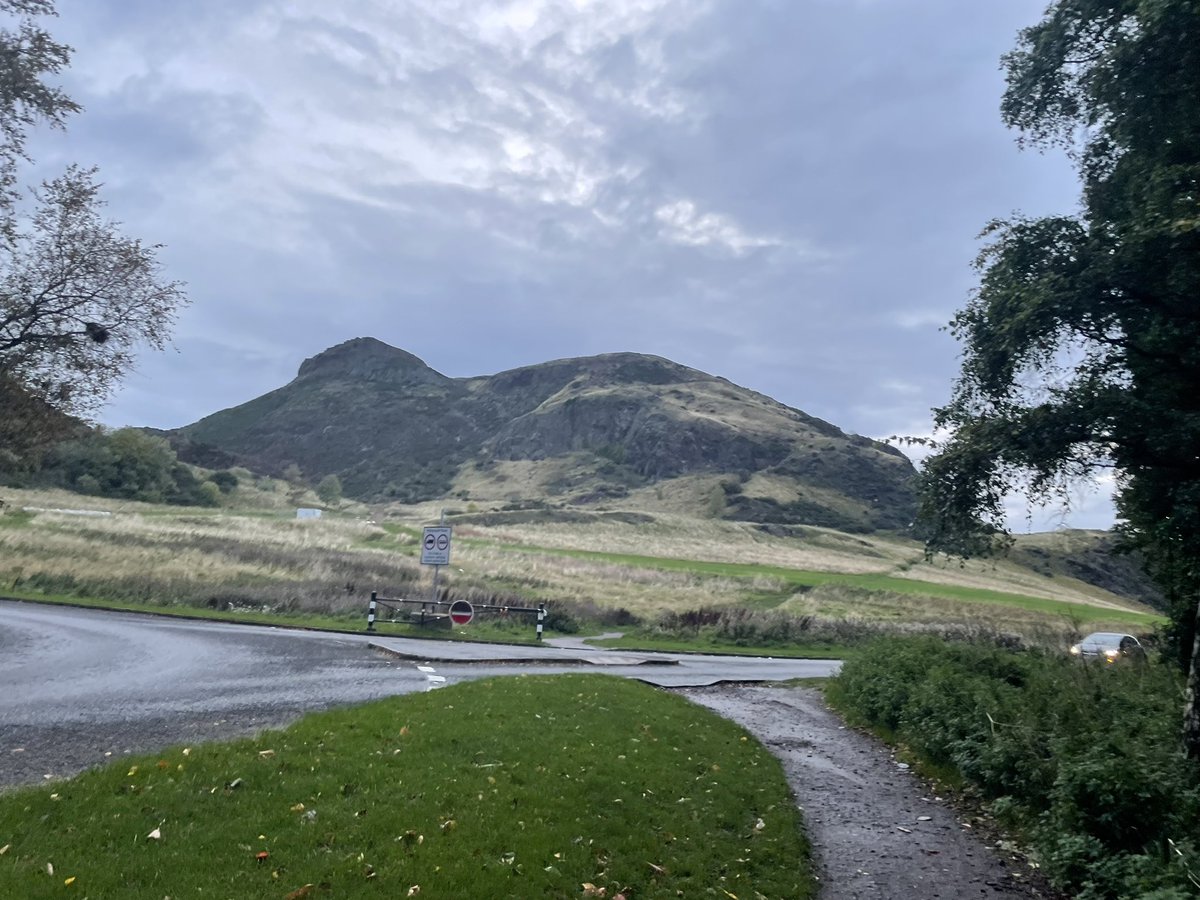 TeamSoftLanding tweet media