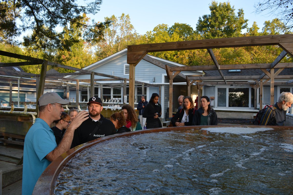 SImarineGEO's tweet photo. 🌅Beautiful morning here @SmithsonianEnv. MarineGEO Network partners were able to tour our Upper Chesapeake Bay MarineGEO Observatory and the Global Change Research Wetland (GCReW). Huge thanks to Roy Rich, @OceanOgburn, and @E_Andersonii for leading these tours! https://t.co/eiGyaL7uU2