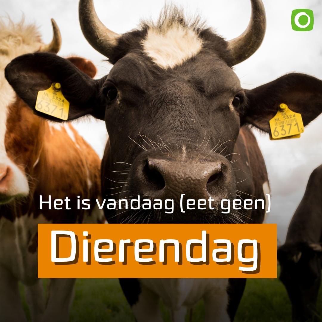 wesdex's tweet photo. Het is vandaag Eet Geen Dierendag!

In Nederland worden per dag meer dan 1,7 miljoen dieren geslacht. Dat zijn gemiddeld 1000 dieren per minuut…

#dierendag #eetgeendierendag #govegan https://t.co/PHZhO7zi6W