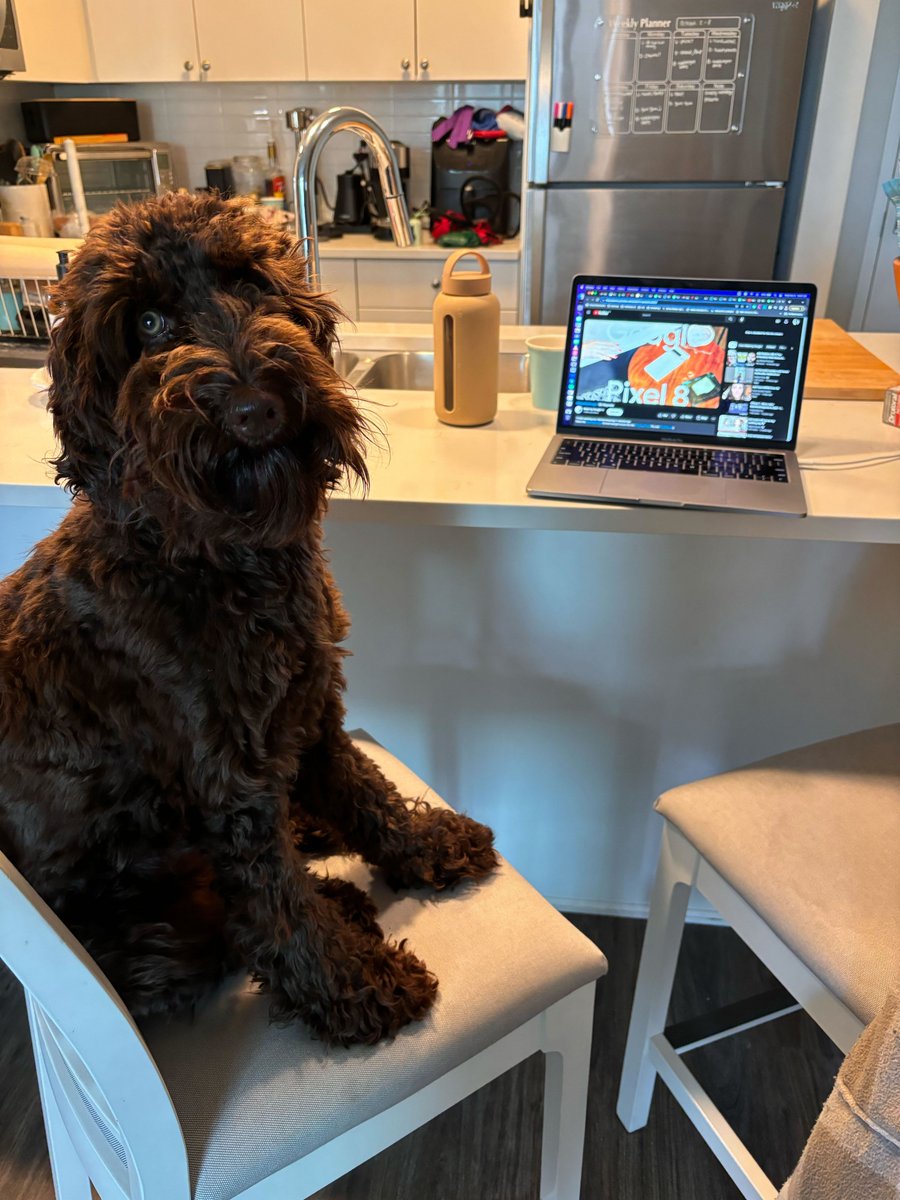 Jiggy is watching the #GooglePixel event as well