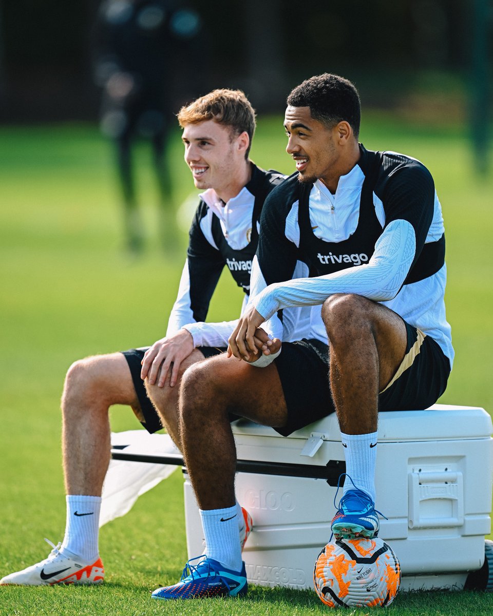 Blues brothers. 💙