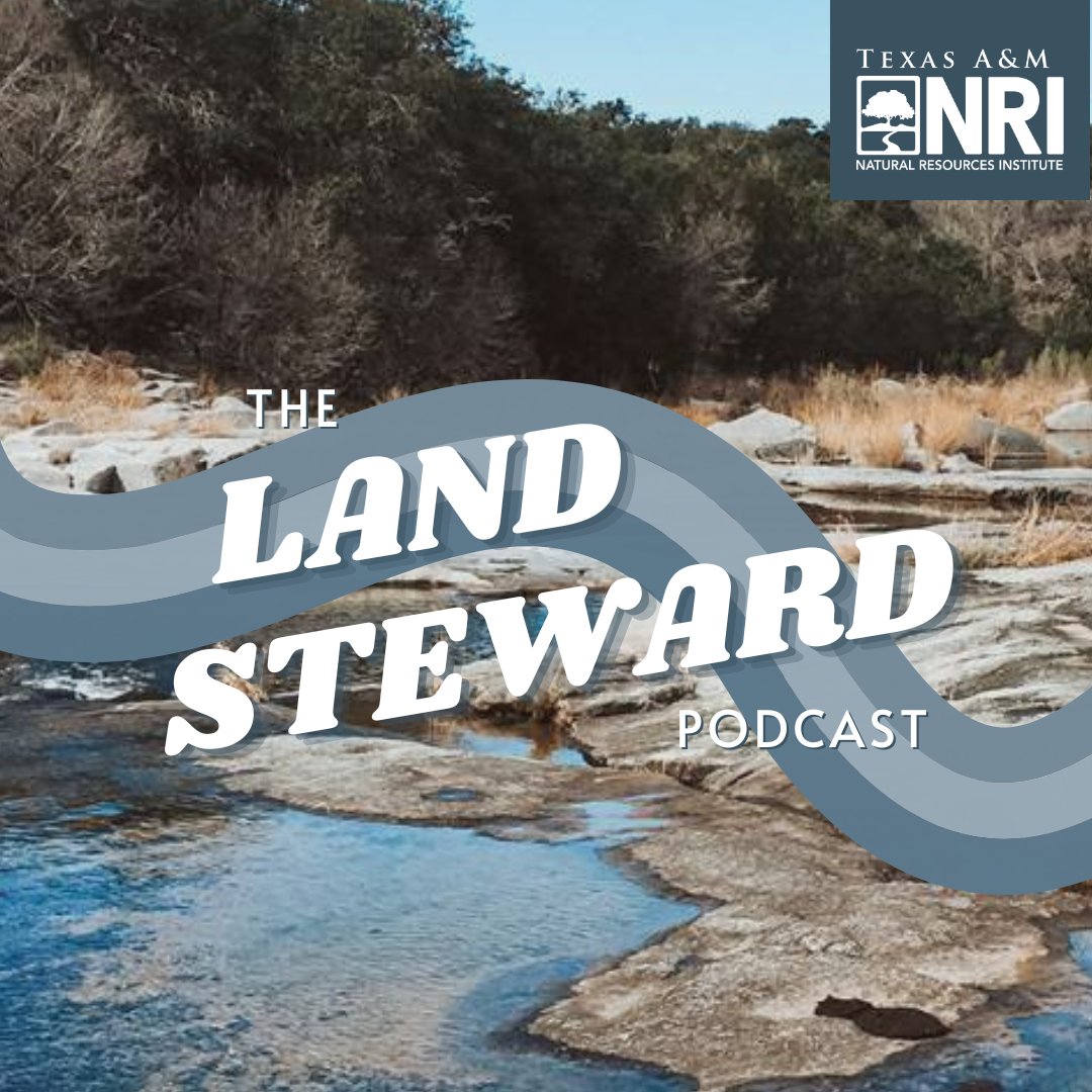 Coming soon...
Relatable conversations and helpful land stewardship resources for conservation-minded individuals—no matter how they relate to the land. #LandStewardPod