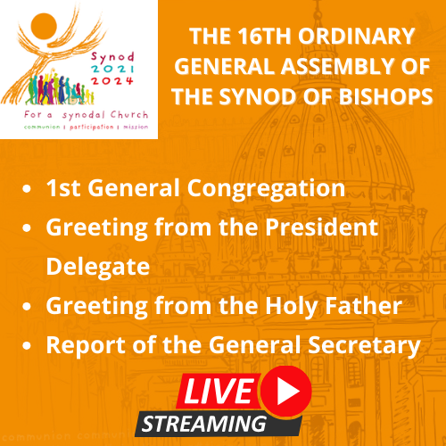 To tune into the various language translations of the 16th @Synod_va general assembly this afternoon: English can be found at vaticannews.va/en.html Spanish at vaticannews.va/es.html French at vaticannews.va/fr.html Italian at vaticannews.va/it.html