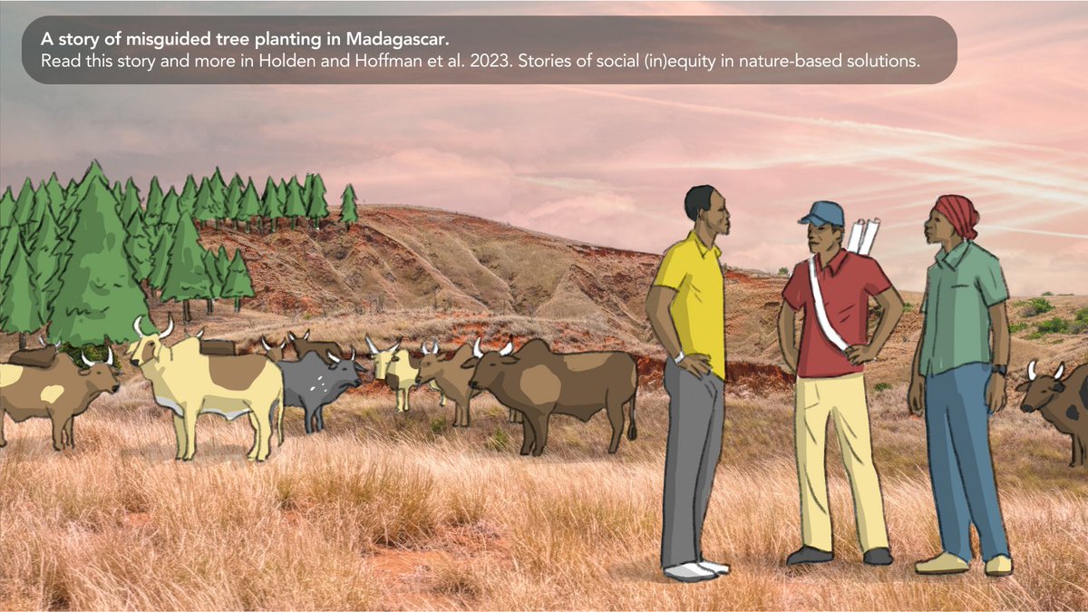 In our storybook of #socialequity in #naturebasedsolutions, shared at @adaptfutures, we hear about misguided tree planting in Madagascar, and equity washing, corporates and forest concessions in Gabon. But that's not all... Read them here: tinyurl.com/dj42hxza