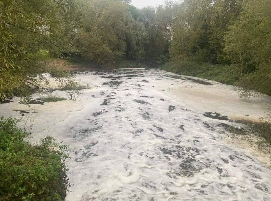Rural Record (@anonetc) on Twitter photo <a href="/EnvAgencyNW/">Env Agency NW</a> confirm a big fish kill on the Weaver in Nantwich today following slurry pollution <a href="/nantwichnews/">NantwichNews</a> <a href="/WGowyRivers/">WeaverGowyRivers</a> <a href="/CheshireEast/">Cheshire East Council</a> <a href="/CheshireWT/">Cheshire Wildlife Trust</a> <a href="/EnvAgencyNW/">Env Agency NW</a> confirm a big fish kill on the Weaver in Nantwich today following slurry pollution <a href="/nantwichnews/">NantwichNews</a> <a href="/WGowyRivers/">WeaverGowyRivers</a> <a href="/CheshireEast/">Cheshire East Council</a> <a href="/CheshireWT/">Cheshire Wildlife Trust</a>