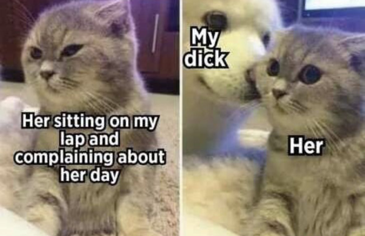 Freakiest Memes 😈💦 tweet media