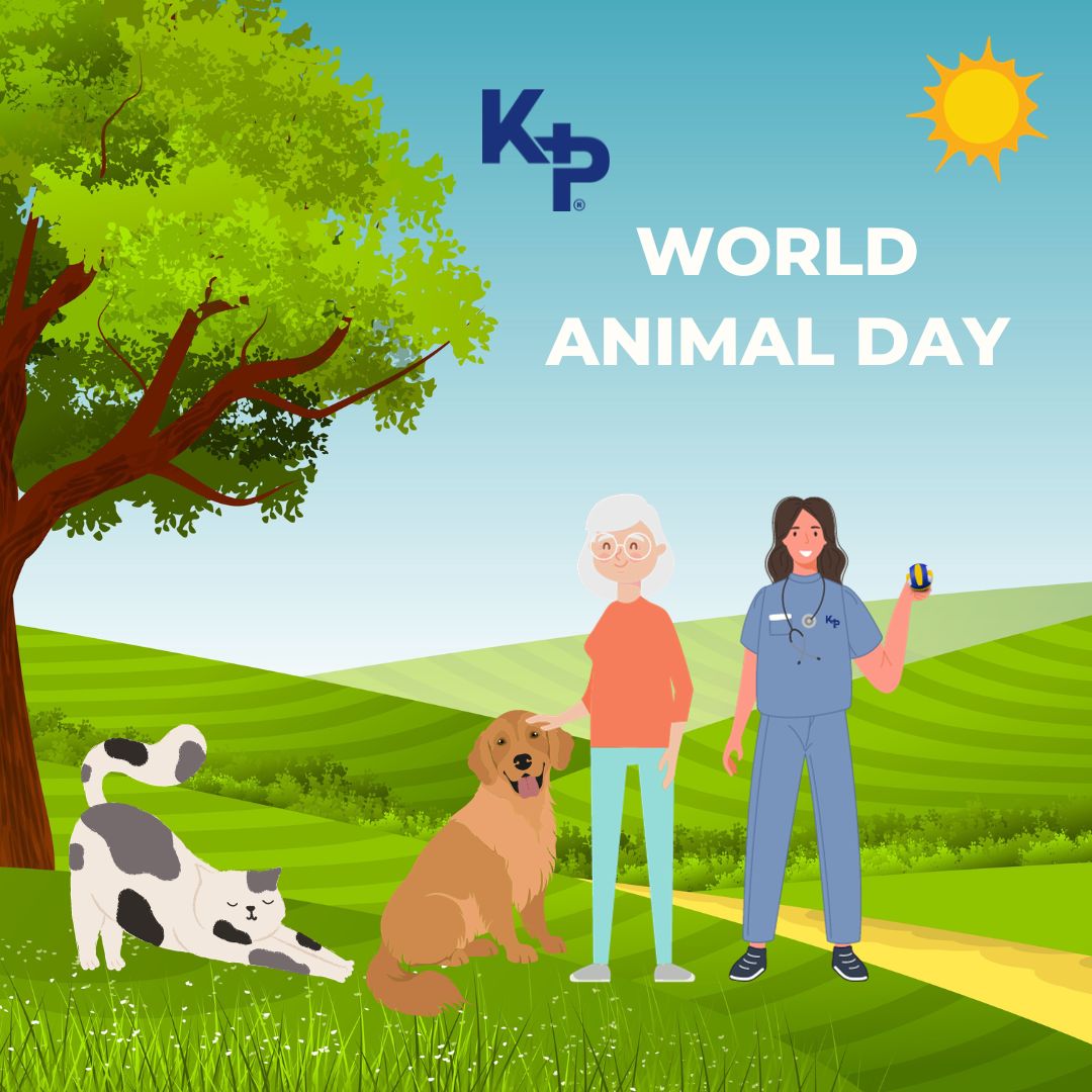 It’s #WorldAnimalDay! 🐕🐈

Today is a day to celebrate our furry, feathered, and finned friends.

Do you know that elderly people benefit from having a furry companion too? 

Studies have shown that having a pet can reduce feelings of loneliness and improve our mental health.