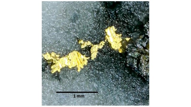 PirateGoldCorp's tweet photo. $SIC $SICNF #drilling #Newfoundlandmining #gold
Read here: https://t.co/9mUTuW2Jn0 https://t.co/m67lm4wY9N