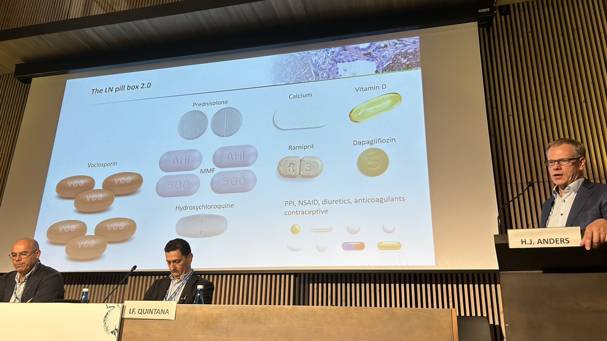 But it is not all about immune therapies in #lupus ! Encouraging a holistic approach taking good care of precious nephrons has a huge impact! Healthy lifestyle, #flozins #mineralcorticoidantagonists @FPuigvert @hjanders_hans #28NefroPuigvert