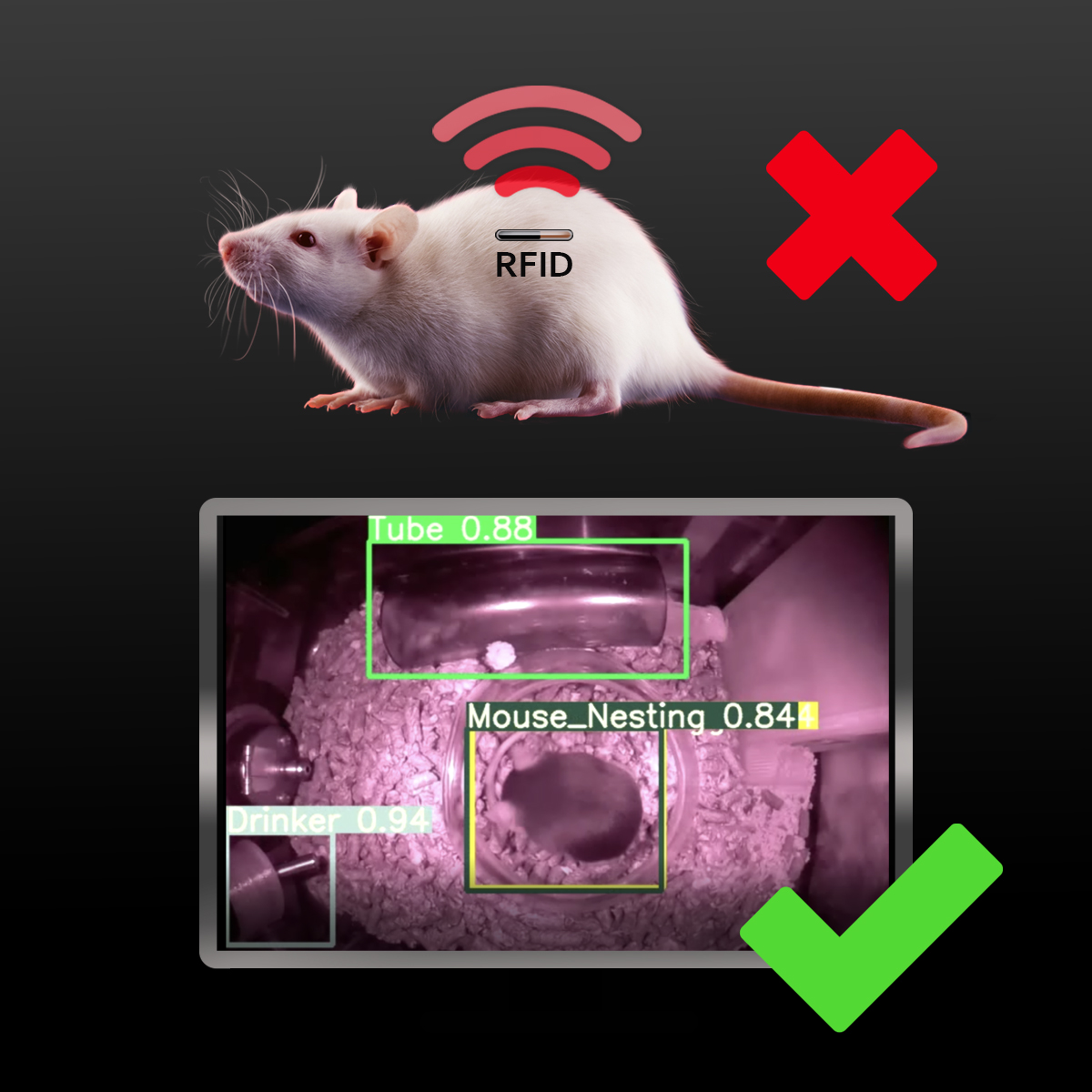 🐭📹 Advancing Animal Research: Video Monitoring vs. RFID Chips 📹🐭

Video monitoring is humane, holistic, and economical. The future of mouse tracking is clear. 

🌟 Prioritize innovation and animal welfare in research.

#preclinicalstudies #mousemodel #mousebehavior