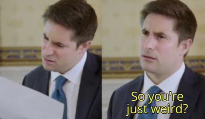 i sit here cackling at my own meme ideas, but then my boss looks at them like this: