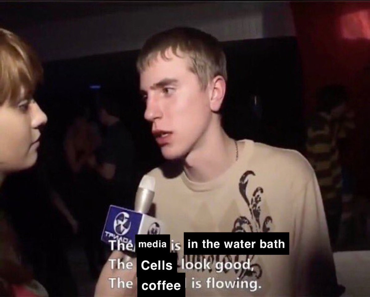 good morning cell culture enthusiasts