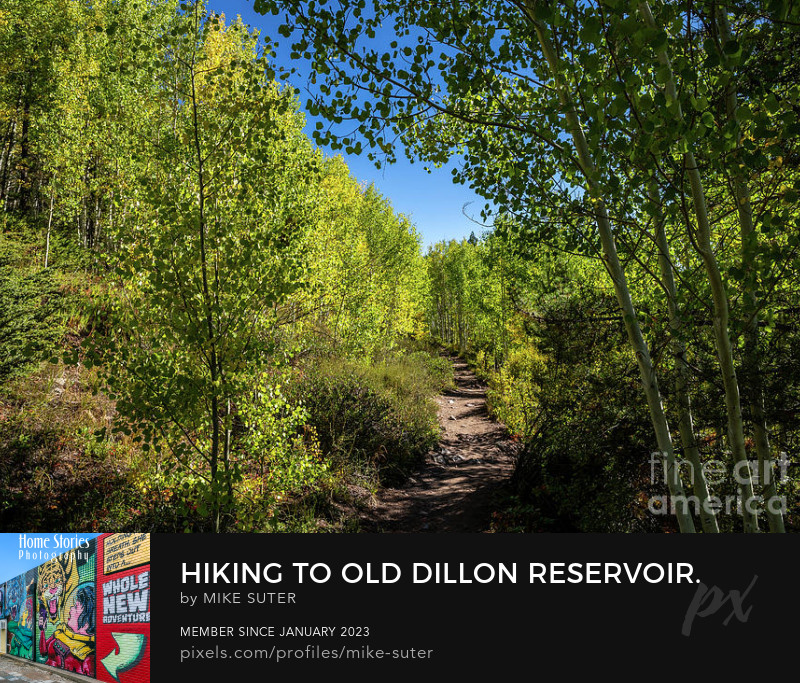 HomeStories1's tweet photo. I took this while hiking up to the Old Dillon Reservoir. Although the Aspens were just starting to turn I really liked how the yellows contrasted to the greens. https://t.co/08ad4jAcWF