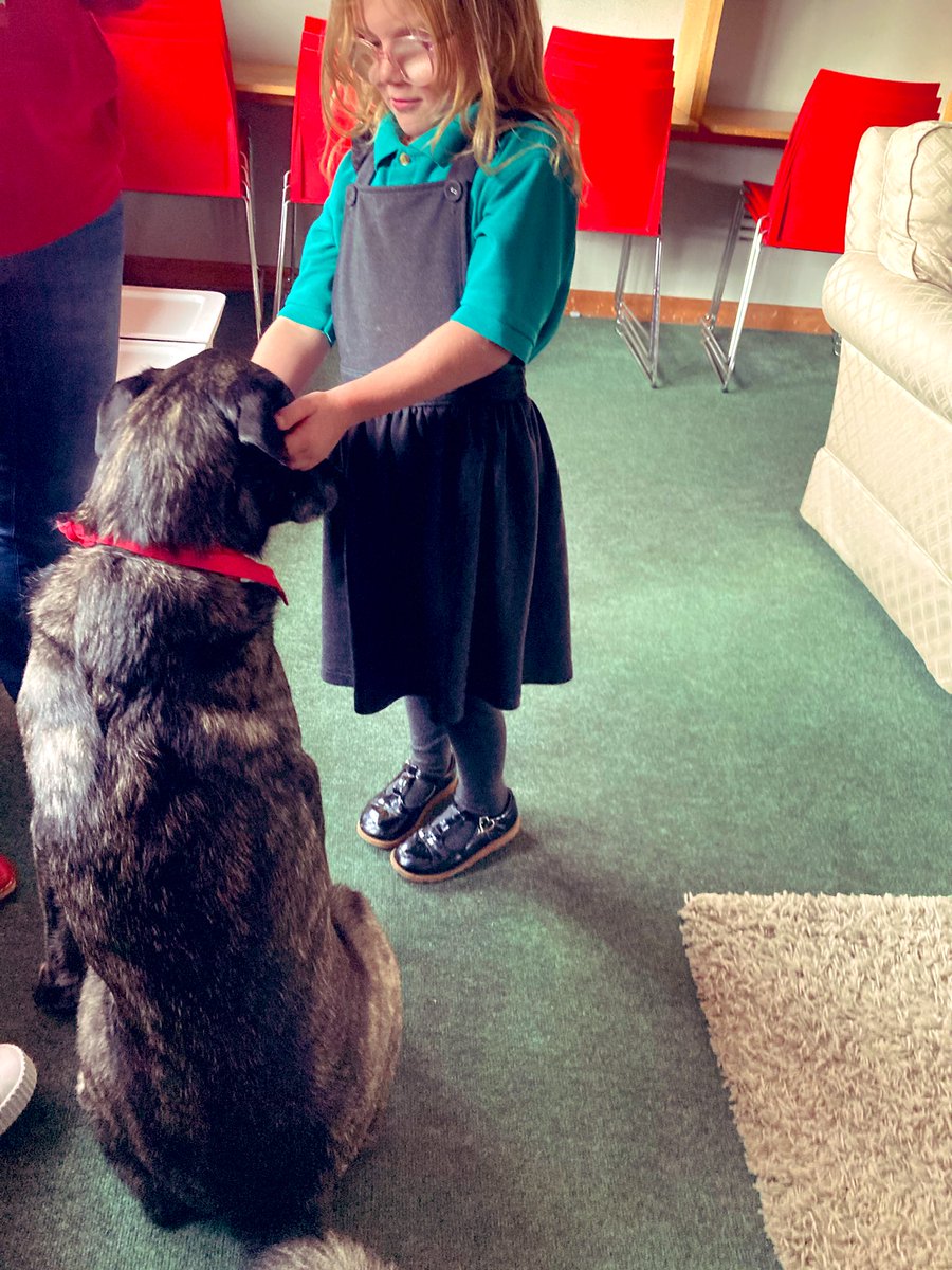 ysgol_y_dderi's tweet image. Diolch i Marco y ci @CariadPet am ddod i’n gweld ni heddiw.  Diolch i Karen ac Ally am ddod ag e.  Sawl sgwrs ddifyr  rhwng y plant a Marco, a lot fawr o gariad’❤️🐾🐶🐕‍🦺🐾❤️🤗  #PetTherapy #lles