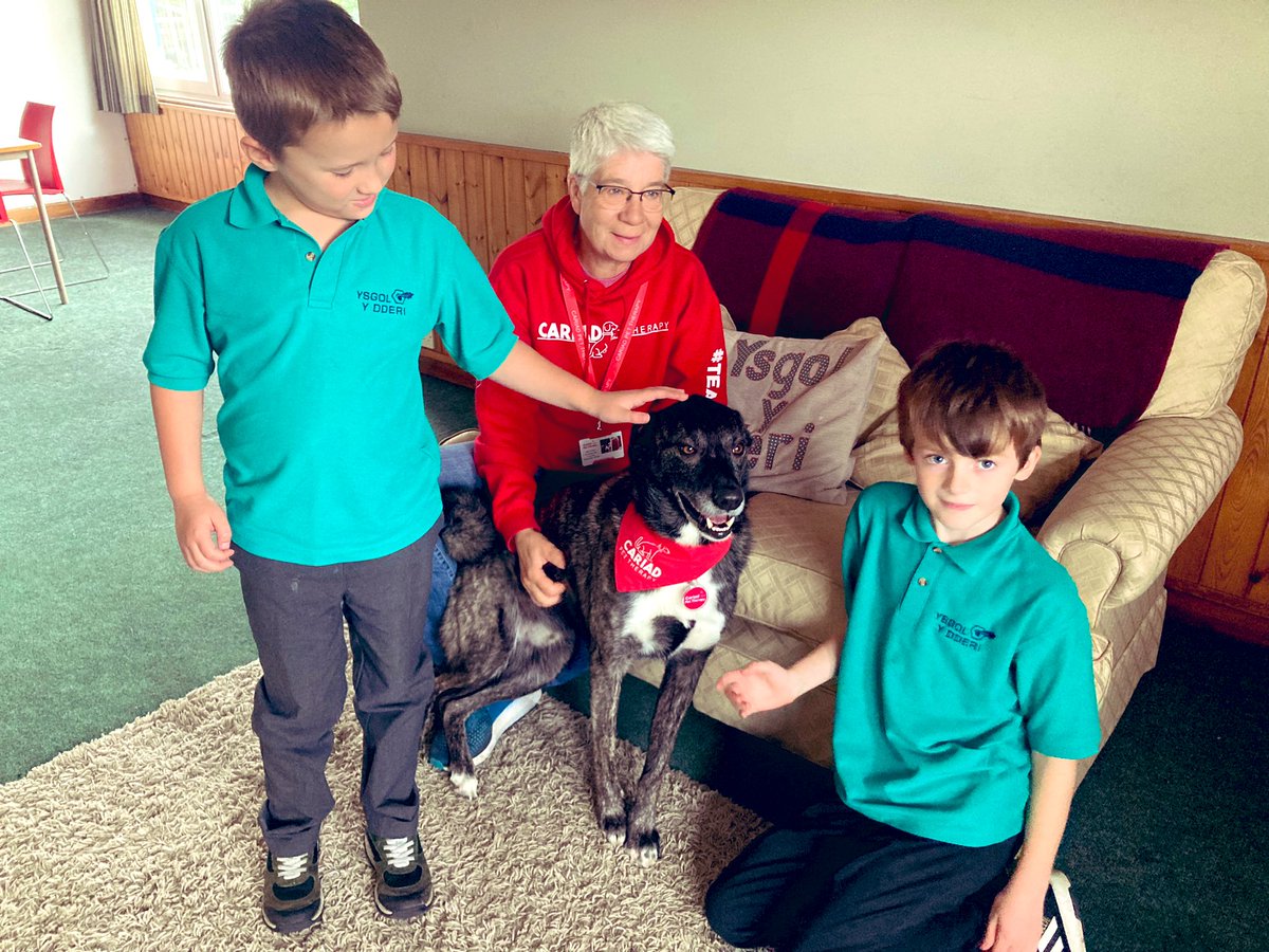 ysgol_y_dderi's tweet image. Diolch i Marco y ci @CariadPet am ddod i’n gweld ni heddiw.  Diolch i Karen ac Ally am ddod ag e.  Sawl sgwrs ddifyr  rhwng y plant a Marco, a lot fawr o gariad’❤️🐾🐶🐕‍🦺🐾❤️🤗  #PetTherapy #lles