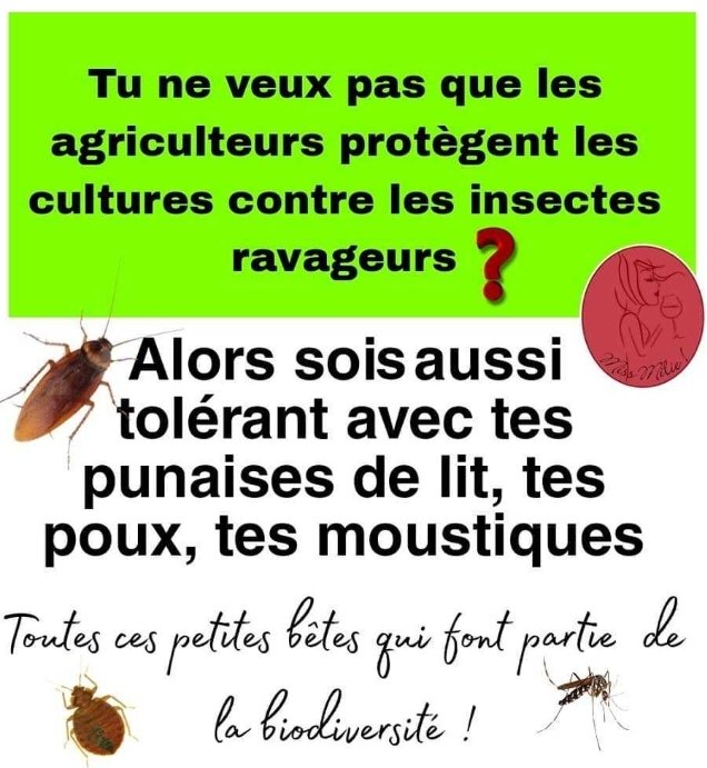 Excellent 👍
Decouvert sur les RS