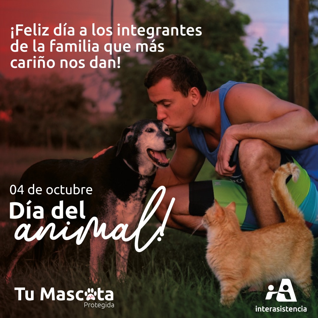 Interasistencia tweet media